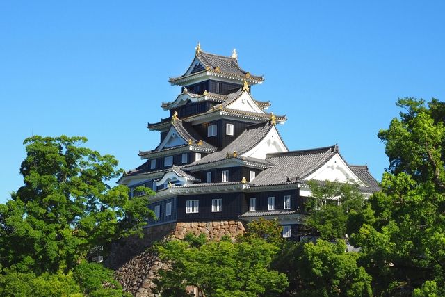 【2026年4月1日以降ご入場分】岡山城WEBチケット(入場料) 【2026年4月1日以降ご入場分】岡山城WEBチケット(入場料)