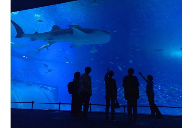 沖縄美ら海水族館☆ナイトガイドツアー 沖縄美ら海水族館☆ナイトガイドツアー