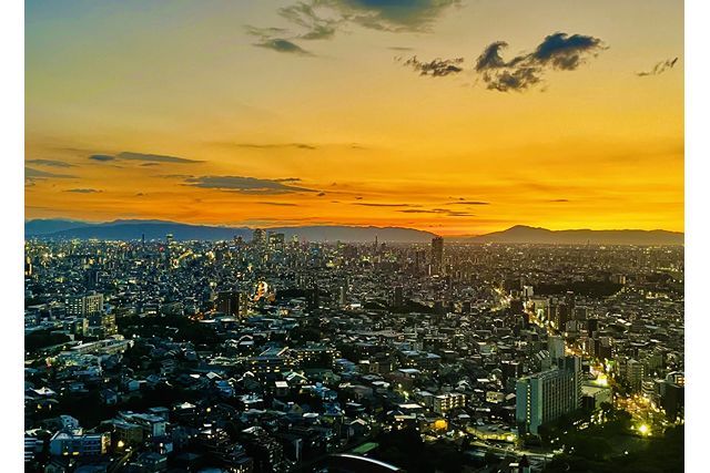 【8月分】東山スカイタワー観覧券(電子チケット) 【8月分】東山スカイタワー観覧券(電子チケット)