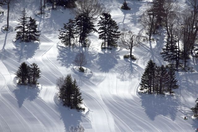 【全日利用可】志賀高原マウンテンリゾート 18スキー場共通 リフト10日券 【全日利用可】志賀高原マウンテンリゾート 18スキー場共通 リフト10日券