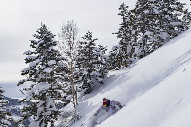 【全日利用可】志賀高原マウンテンリゾート 18スキー場共通 リフト10日券 【全日利用可】志賀高原マウンテンリゾート 18スキー場共通 リフト10日券