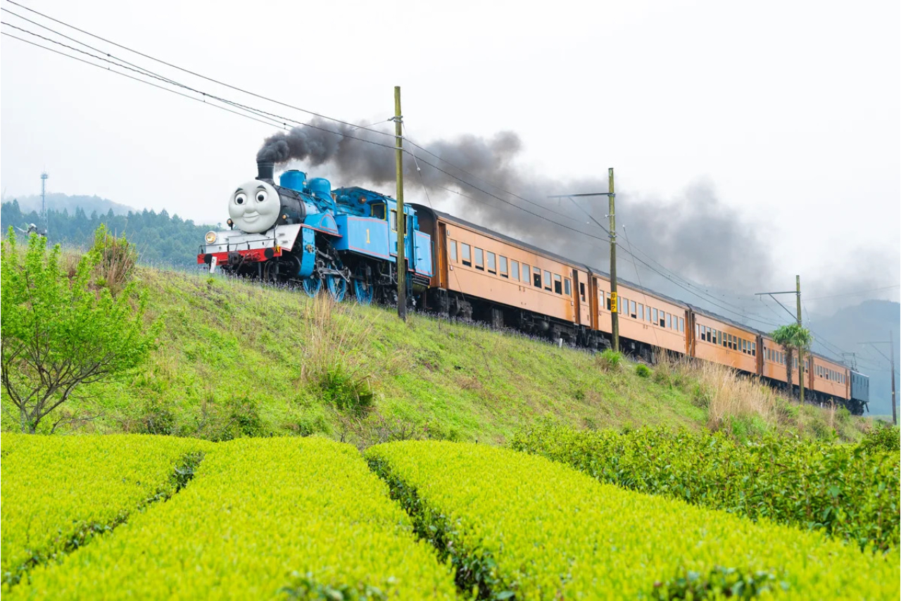 大井川鐵道 DAY OUT WITH THOMAS きかんしゃトーマス号 ファミリーボックスプラン 大井川鐵道 DAY OUT WITH THOMAS きかんしゃトーマス号 ファミリーボックスプラン