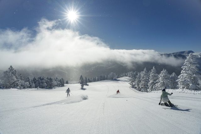 【春スキー・最大1,300円割引】志賀高原焼額山スキー場 リフト2日券 【春スキー・最大1,300円割引】志賀高原焼額山スキー場 リフト2日券