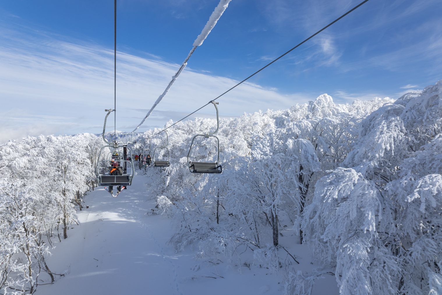 公式【最大2,400円割引】星野リゾート ネコマ マウンテン 4日券(ICカード保証金500円込) 公式【最大2,400円割引】星野リゾート ネコマ マウンテン 4日券(ICカード保証金500円込)