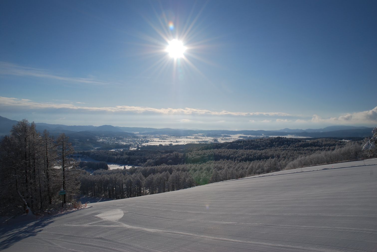 超特割!【土日祝・年末年始】愛犬と一緒に遊べる「黒姫高原スノーパーク」オールエリア1dayチケット 超特割!【土日祝・年末年始】愛犬と一緒に遊べる「黒姫高原スノーパーク」オールエリア1dayチケット
