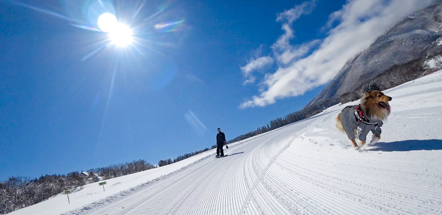 超特割!【親子ペア|土日祝・年末年始】黒姫高原スノーパーク ファミリーパーク 1dayチケット 超特割!【親子ペア|土日祝・年末年始】黒姫高原スノーパーク ファミリーパーク 1dayチケット