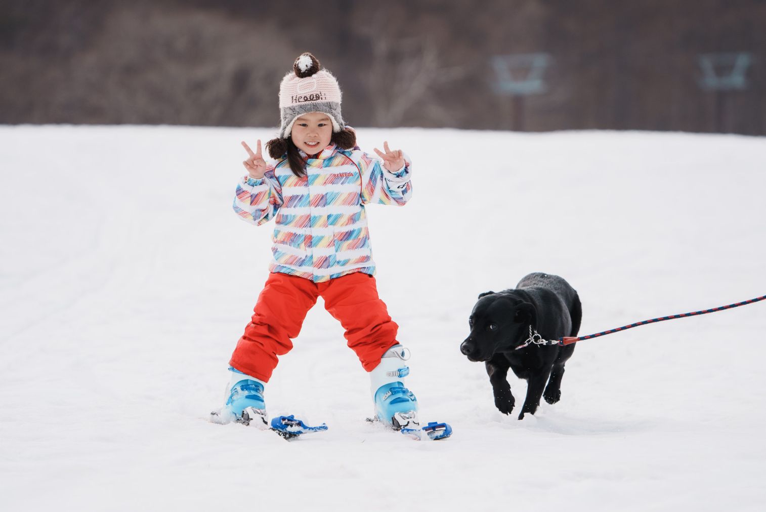 超特割!【親子ペア|土日祝・年末年始】黒姫高原スノーパーク ファミリーパーク 1dayチケット 超特割!【親子ペア|土日祝・年末年始】黒姫高原スノーパーク ファミリーパーク 1dayチケット