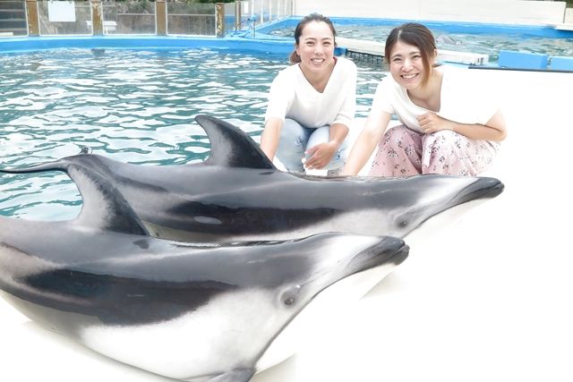 【2026年4月1日以降にご来館の方】太地町立くじらの博物館 前売りWEBチケット 【2026年4月1日以降にご来館の方】太地町立くじらの博物館 前売りWEBチケット