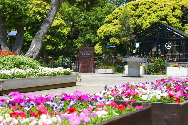 江の島シーキャンドルと江の島岩屋洞窟、夜間イベントが楽しめるお得なチケット販売中! 江の島シーキャンドルと江の島岩屋洞窟、夜間イベントが楽しめるお得なチケット販売中!