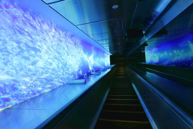 江の島をお得にスムーズに観光しよう!江の島1day販売中! 江の島をお得にスムーズに観光しよう!江の島1day販売中!