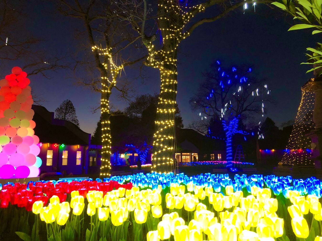 【10%割引】愛犬と一緒に楽しめる!四季折々の花やアトラクション体験 ブルーメの丘 入園チケット 【10%割引】愛犬と一緒に楽しめる!四季折々の花やアトラクション体験 ブルーメの丘 入園チケット