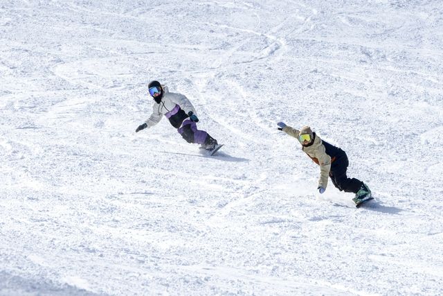 【チャージ・ダボス・太郎エリア限定・400円割引】リフト1日券(ICカードをお持ちの方) 【チャージ・ダボス・太郎エリア限定・400円割引】リフト1日券(ICカードをお持ちの方)