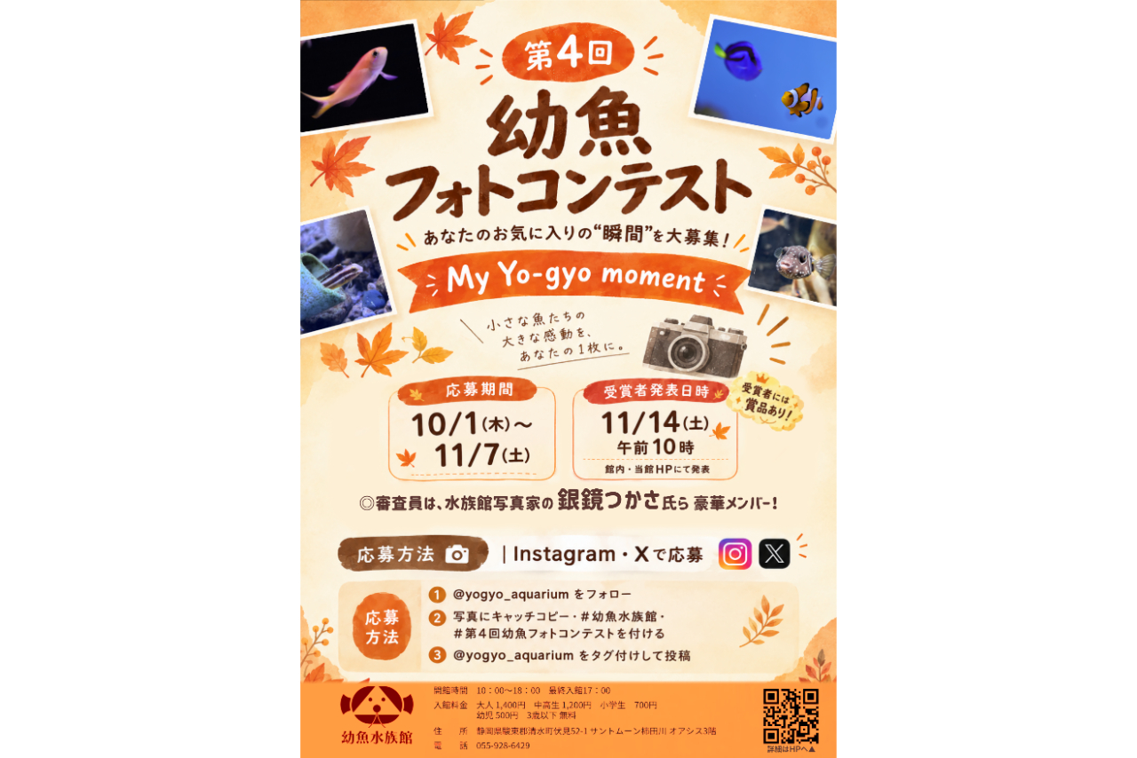 幼魚水族館 事前購入前売りチケットで並ばずに購入できる! 幼魚水族館 事前購入前売りチケットで並ばずに購入できる!