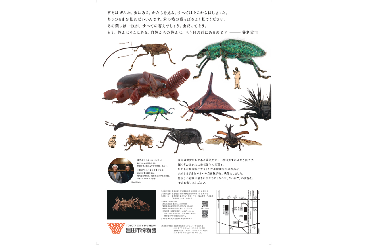 【当日券】7月11日~9月23日「養老孟司と小檜山賢二の虫展」 【当日券】7月11日~9月23日「養老孟司と小檜山賢二の虫展」