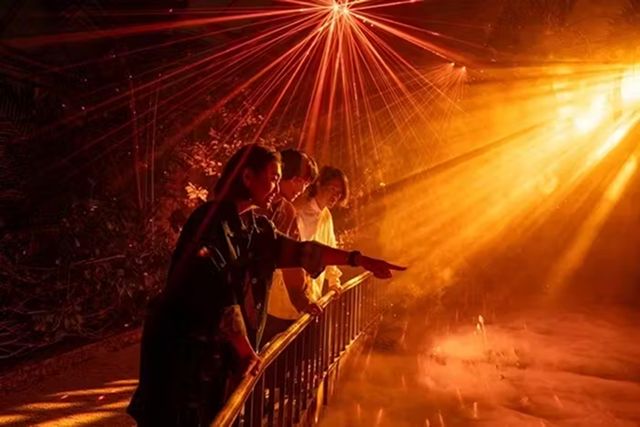 【入場券】LIGHT CYCLES KYOTO(11/15~) 【入場券】LIGHT CYCLES KYOTO(11/15~)