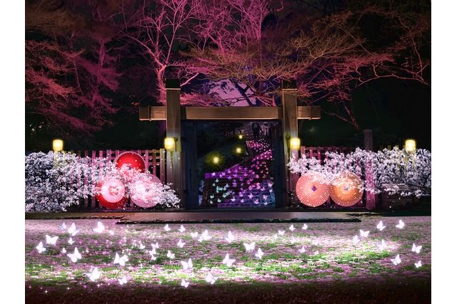 【土日|前売券】ぎふ灯り物語 2026(1/17~2/1) 【土日|前売券】ぎふ灯り物語 2026(1/17~2/1)