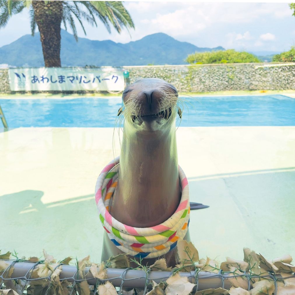 あわしまマリンパーク 2枚目