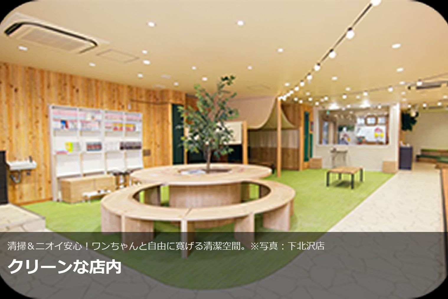 超特割!【30%割引】いぬカフェRio 秋葉原店(ドリンク飲み放題+犬おやつ付き) 超特割!【30%割引】いぬカフェRio 秋葉原店(ドリンク飲み放題+犬おやつ付き)