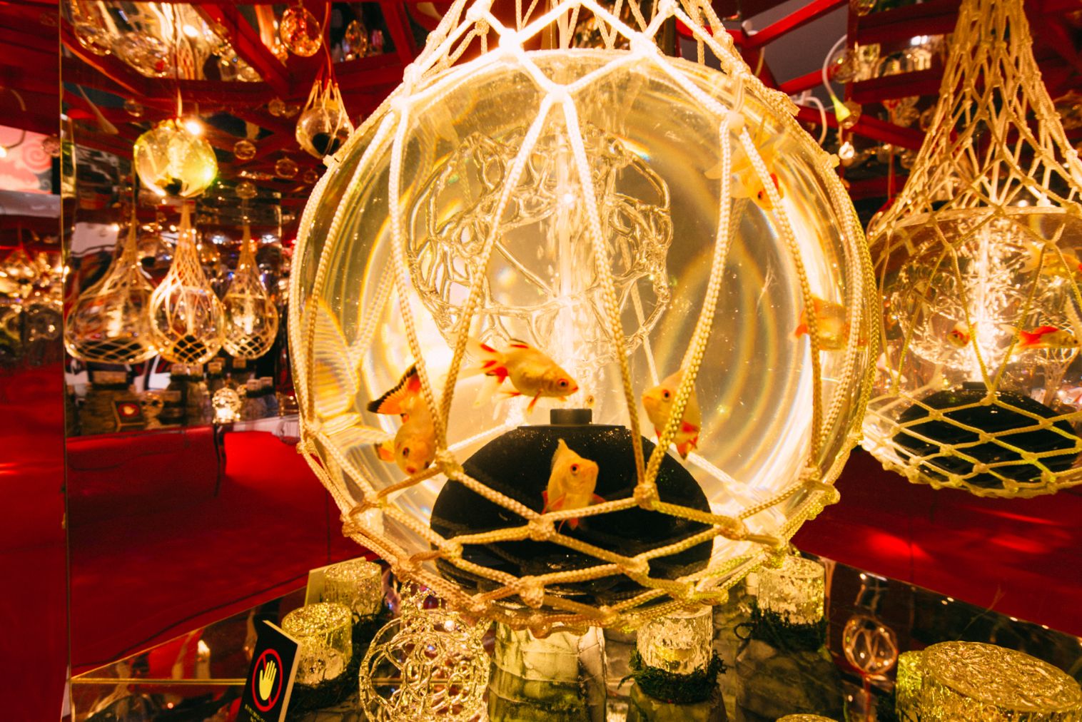 【2026年】沖縄金魚ミュージアム 入場券 【2026年】沖縄金魚ミュージアム 入場券