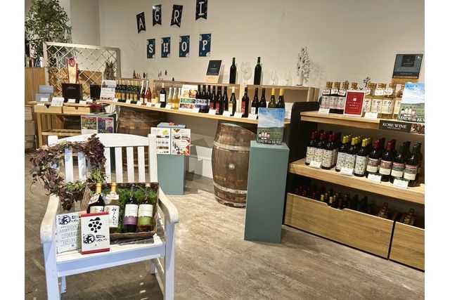 いよいよ見頃!【購入日の翌日から利用可】こうべアグリパーク ネモフィラの丘 ナイター入場券 いよいよ見頃!【購入日の翌日から利用可】こうべアグリパーク ネモフィラの丘 ナイター入場券