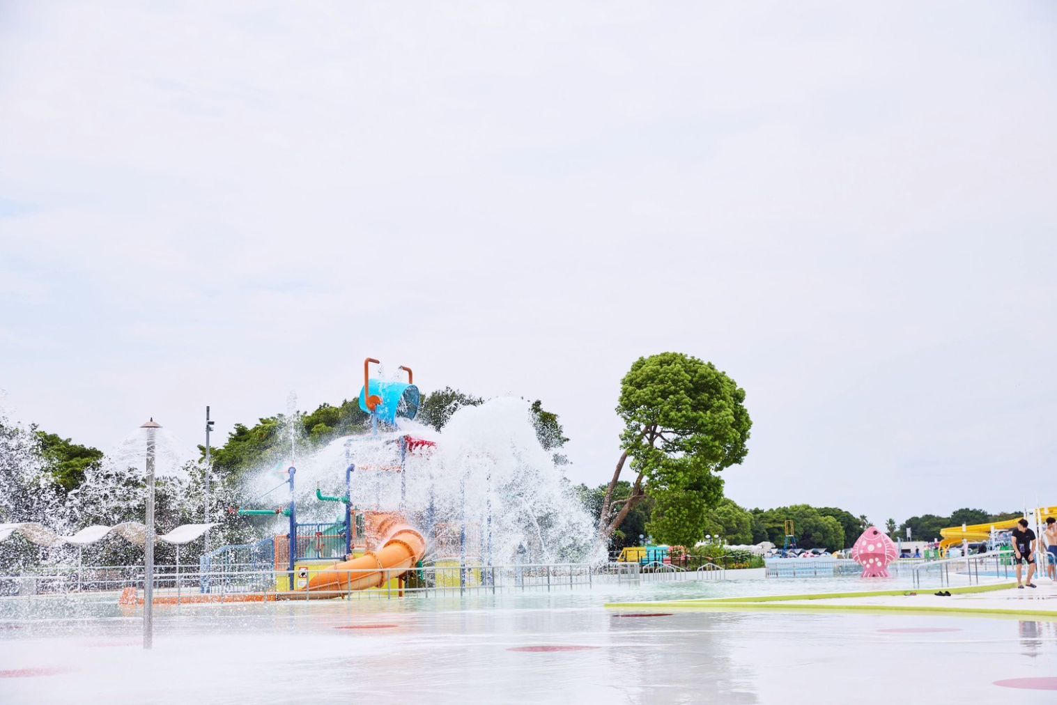 【7月11日から利用可・来園日指定】稲毛海浜公園プール 1DAYチケット 【7月11日から利用可・来園日指定】稲毛海浜公園プール 1DAYチケット