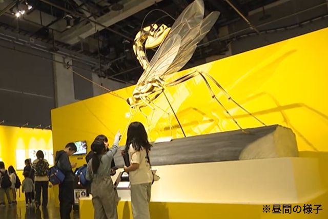 特別展「昆虫 MANIAC」ナイトミュージアム 特別展「昆虫 MANIAC」ナイトミュージアム