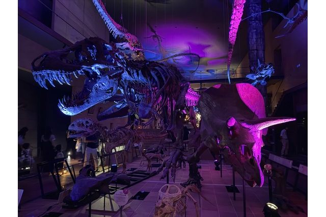 【コスプレナイトミュージアム】11/29(土)「べらぼう」におもしろい印刷展 【コスプレナイトミュージアム】11/29(土)「べらぼう」におもしろい印刷展