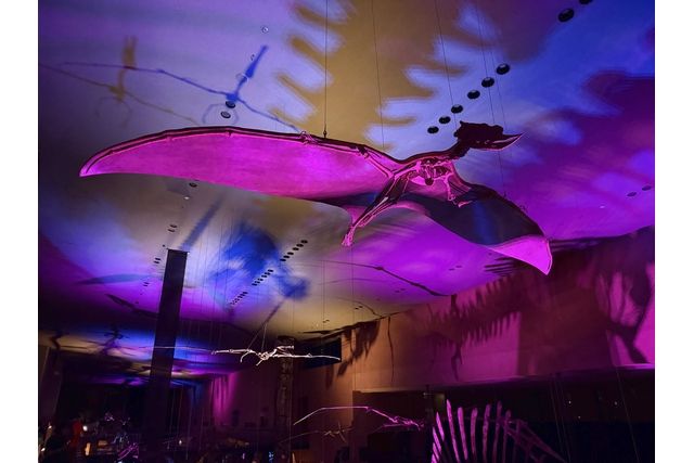 【コスプレナイトミュージアム】11/29(土)「べらぼう」におもしろい印刷展 【コスプレナイトミュージアム】11/29(土)「べらぼう」におもしろい印刷展