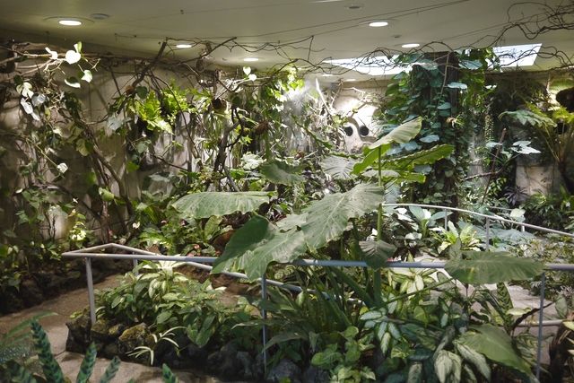 「あわじグリーン館」入館券 「あわじグリーン館」入館券