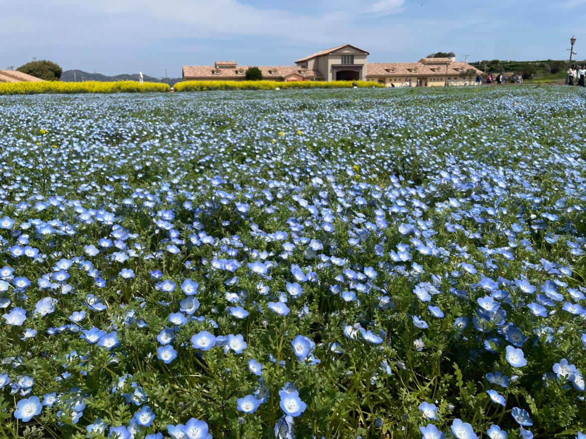 【毎日利用可】1日中遊び尽くす「アトラクション乗り放題パス」長井海の手公園ソレイユの丘 ※一部対象外アトラクション有 【毎日利用可】1日中遊び尽くす「アトラクション乗り放題パス」長井海の手公園ソレイユの丘 ※一部対象外アトラクション有