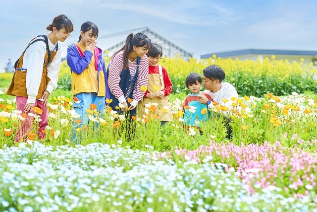 【毎日利用可】1日中遊び尽くす「アトラクション乗り放題パス」長井海の手公園ソレイユの丘 ※一部対象外アトラクション有 【毎日利用可】1日中遊び尽くす「アトラクション乗り放題パス」長井海の手公園ソレイユの丘 ※一部対象外アトラクション有