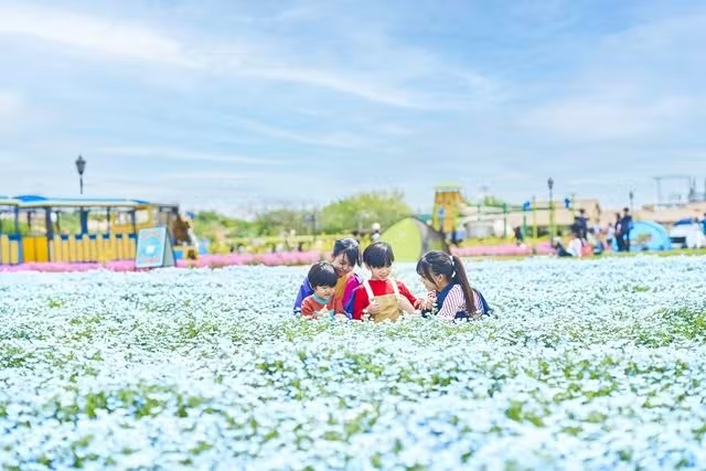 【毎日利用可】画像のアトラクション全20種がぜんぶ遊び放題!長井海の手公園ソレイユの丘「アトラクション乗り放題パス」 【毎日利用可】画像のアトラクション全20種がぜんぶ遊び放題!長井海の手公園ソレイユの丘「アトラクション乗り放題パス」