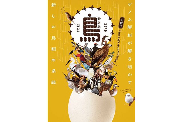 【当日券】 特別展「鳥~ゲノム解析が解き明かす新しい鳥類の系統~」大阪展 【当日券】 特別展「鳥~ゲノム解析が解き明かす新しい鳥類の系統~」大阪展