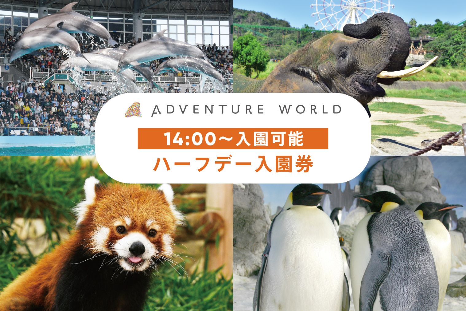 アドベンチャーワールド ハーフデー入園券(14:00~入園) アドベンチャーワールド ハーフデー入園券(14:00~入園)