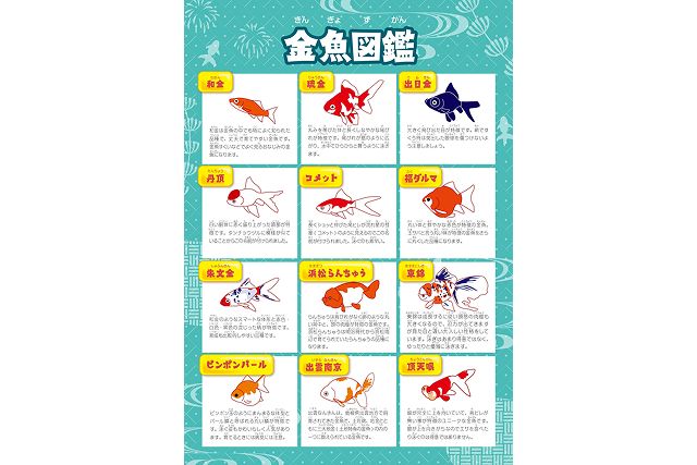 光で彩る金魚のアクアリウム THE OUTLETS HIROSHIMA aquarium 光で彩る金魚のアクアリウム THE OUTLETS HIROSHIMA aquarium