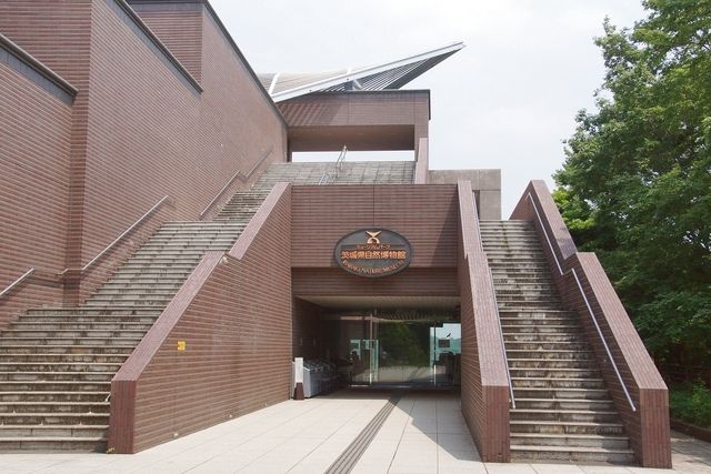 【企画展】本館・野外共通券 【企画展】本館・野外共通券