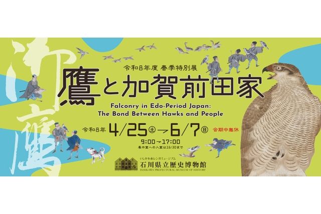 石川県立歴史博物館 令和8年度春季特別展 鷹と加賀前田家 石川県立歴史博物館 令和8年度春季特別展 鷹と加賀前田家