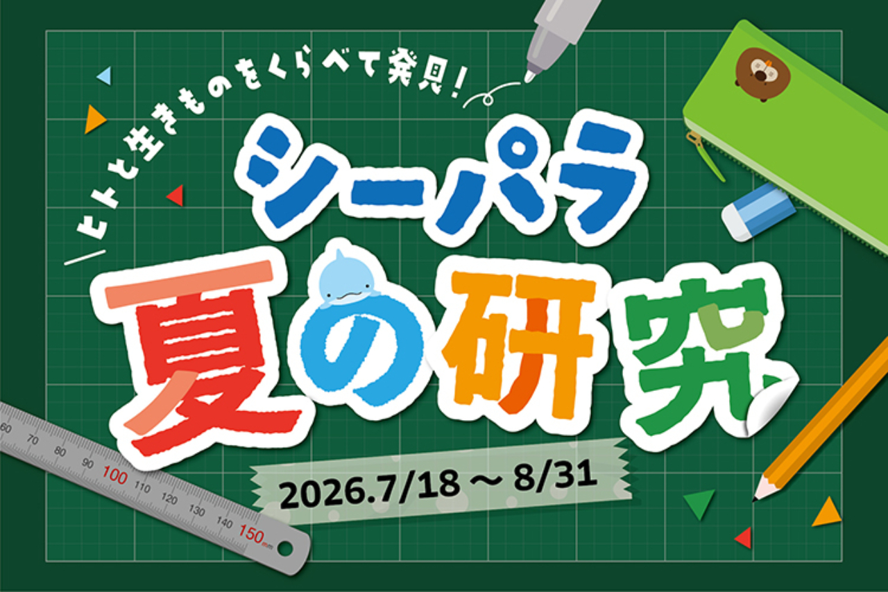 <直チケ>夏の研究ブック+アクアリゾーツパス <直チケ>夏の研究ブック+アクアリゾーツパス