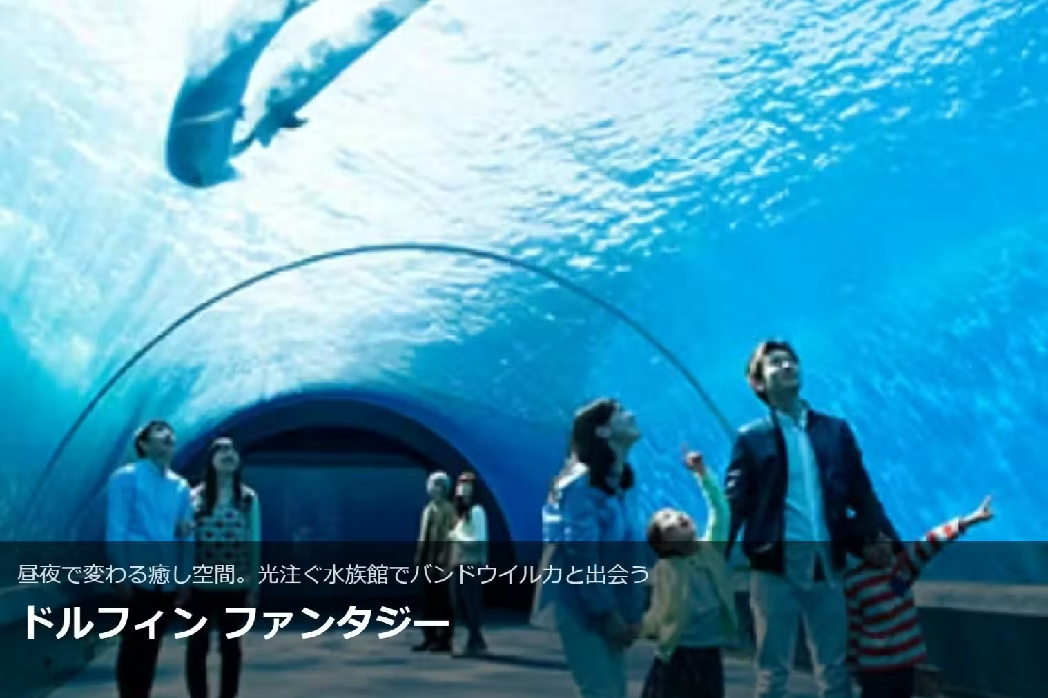 <直チケ>マツケンまみれまみれ島「マツケンお面」付ワンデーパス <直チケ>マツケンまみれまみれ島「マツケンお面」付ワンデーパス
