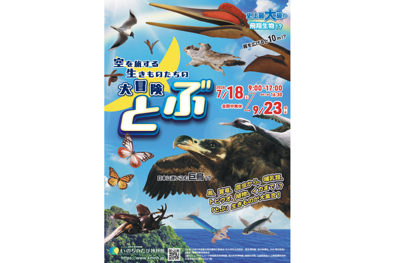 【前売|入場チケット(特別展のみ)】夏の特別展「とぶ 空を旅する生きものたちの大冒険」 【前売|入場チケット(特別展のみ)】夏の特別展「とぶ 空を旅する生きものたちの大冒険」