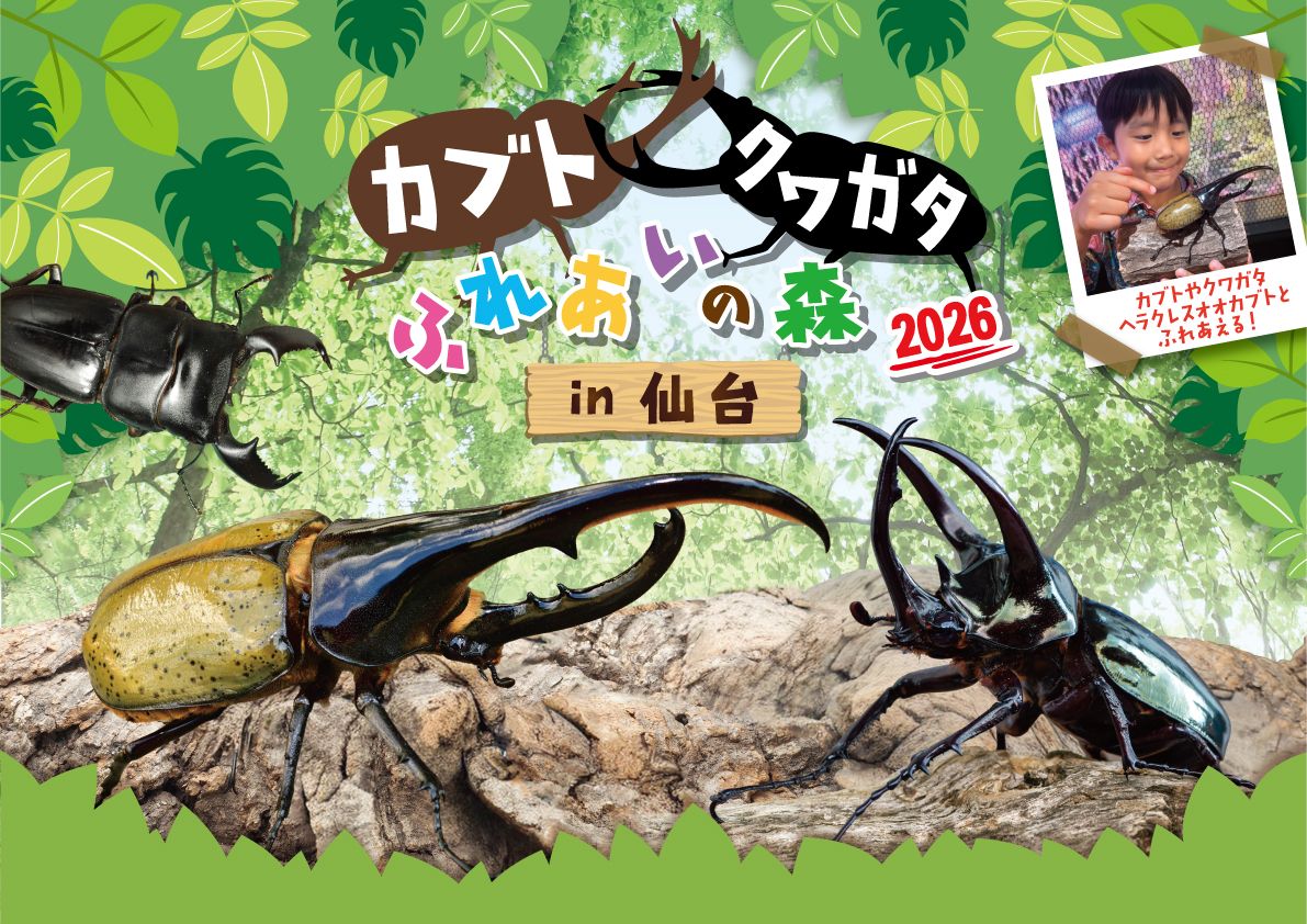 【200円割引】カブト・クワガタふれあいの森 in 仙台 2026 親子ペア入場+特別ふれあいコーナー2枚セット券 【200円割引】カブト・クワガタふれあいの森 in 仙台 2026 親子ペア入場+特別ふれあいコーナー2枚セット券