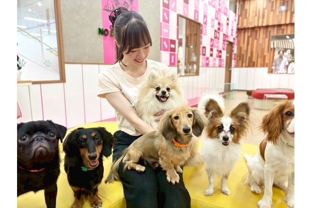 超特割!【30%割引】いぬねこカフェRio ゆめタウン光の森店(ドリンク飲み放題+犬おやつ付き) 超特割!【30%割引】いぬねこカフェRio ゆめタウン光の森店(ドリンク飲み放題+犬おやつ付き)
