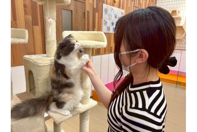 超特割!【30%割引】いぬねこカフェRio ゆめタウン光の森店(ドリンク飲み放題+犬おやつ付き) 超特割!【30%割引】いぬねこカフェRio ゆめタウン光の森店(ドリンク飲み放題+犬おやつ付き)