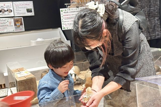 【土・日・祝】癒しと学びの動物園 KABAZOO 入場券 【土・日・祝】癒しと学びの動物園 KABAZOO 入場券