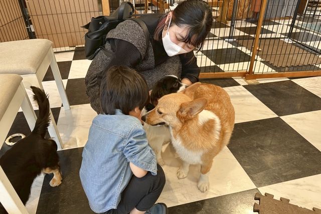 【土・日・祝】癒しと学びの動物園 KABAZOO 入場券 【土・日・祝】癒しと学びの動物園 KABAZOO 入場券