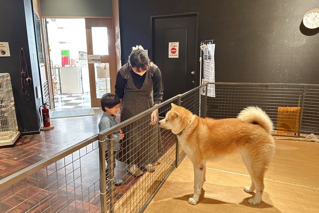 【平日】癒しと学びの動物園 KABAZOO 入場券(再入場可能チケット) 【平日】癒しと学びの動物園 KABAZOO 入場券(再入場可能チケット)