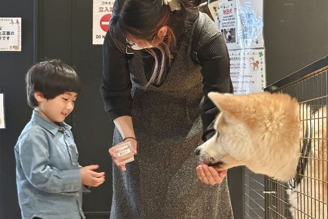 【平日】癒しと学びの動物園 KABAZOO 入場券(再入場可能チケット) 【平日】癒しと学びの動物園 KABAZOO 入場券(再入場可能チケット)