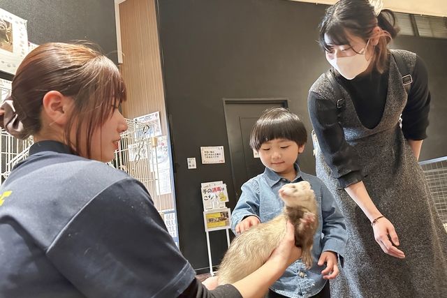 【平日】癒しと学びの動物園 KABAZOO 入場券(再入場可能チケット) 【平日】癒しと学びの動物園 KABAZOO 入場券(再入場可能チケット)