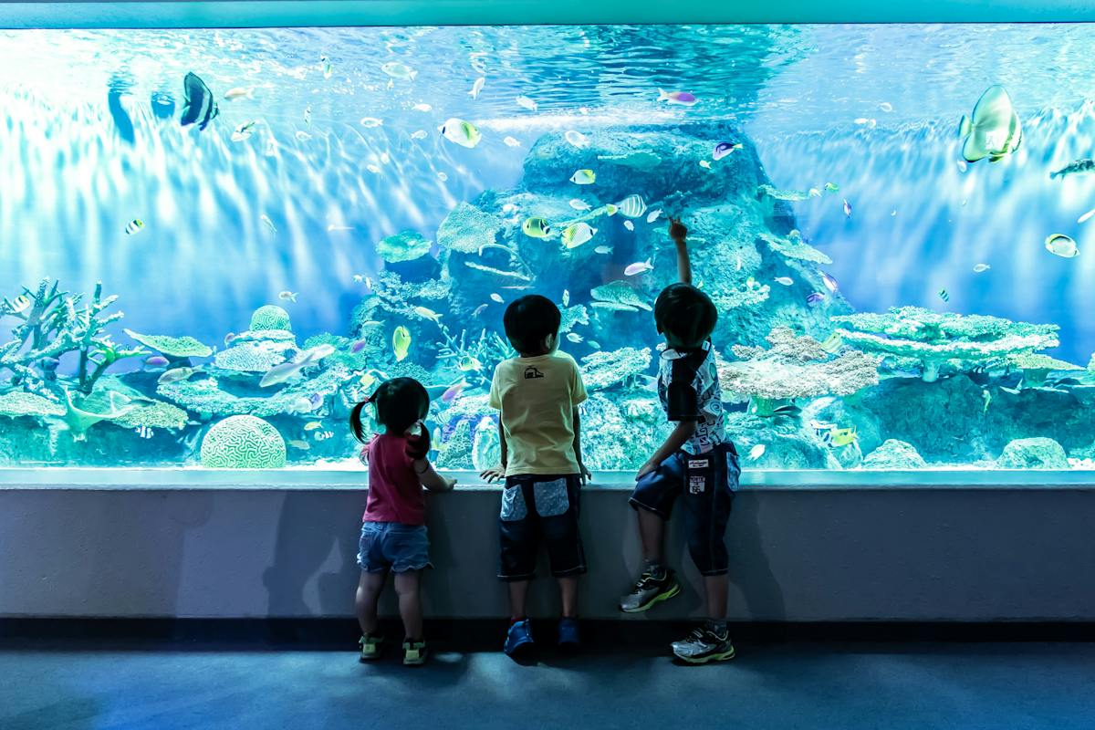 しながわ水族館×すえひろ湯セット券 しながわ水族館×すえひろ湯セット券