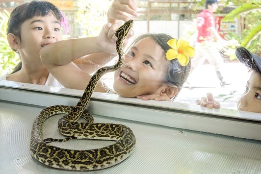 おきなわワールド 3枚目